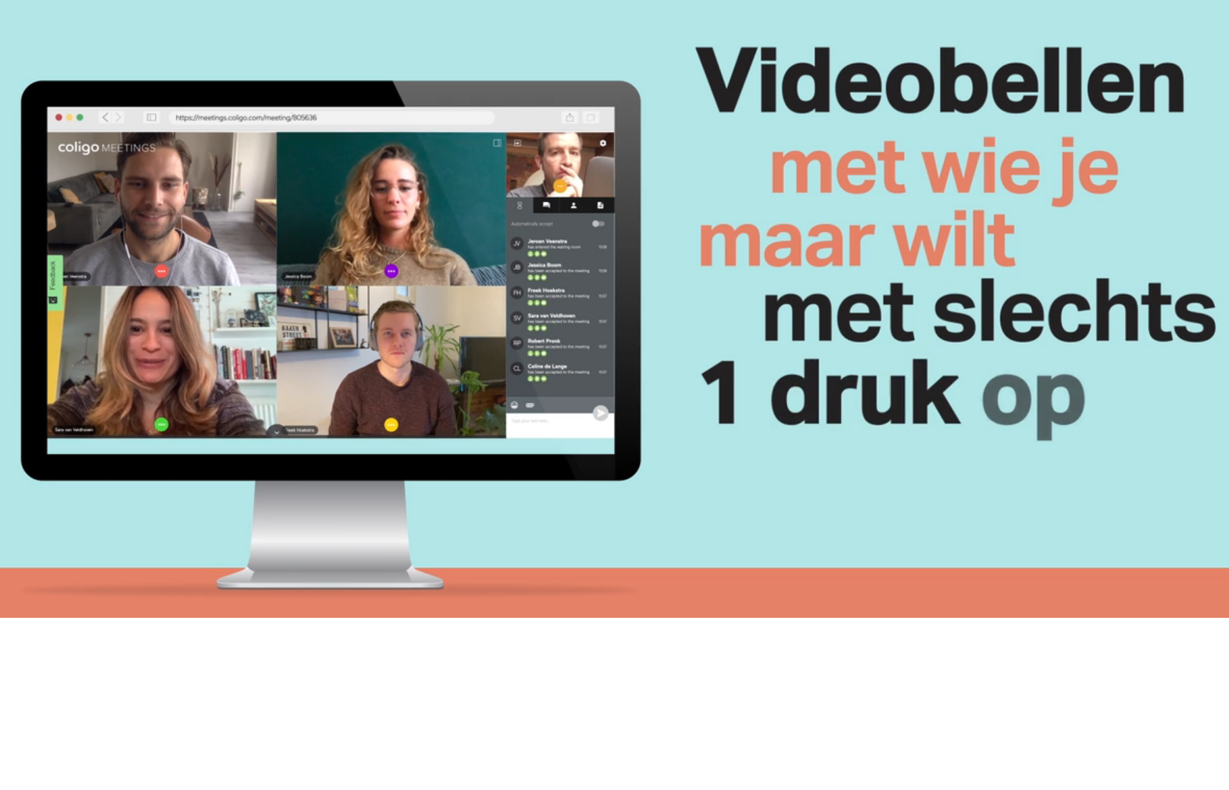 Video Meetings
